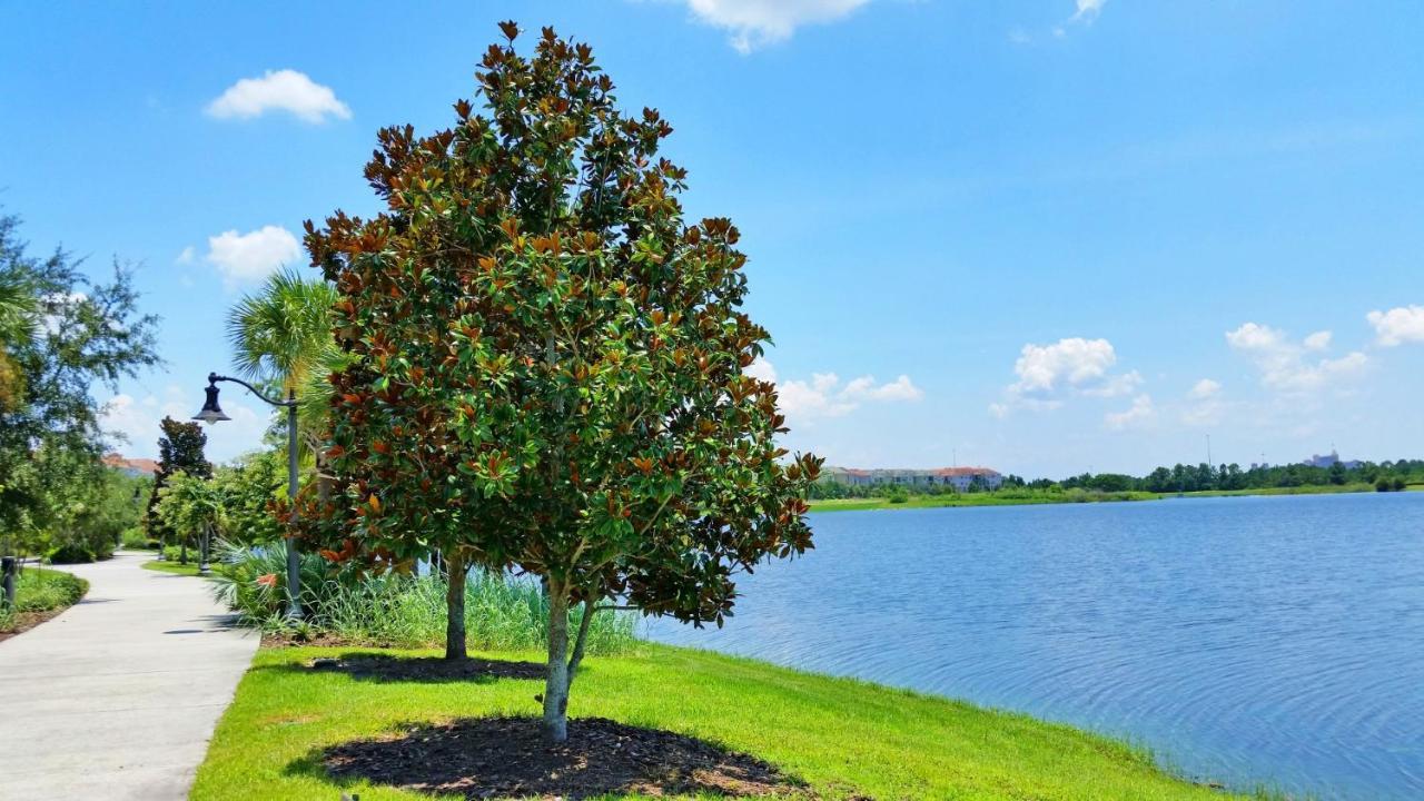 4814 Cayview Avenue #401 Apartman Orlando Kültér fotó